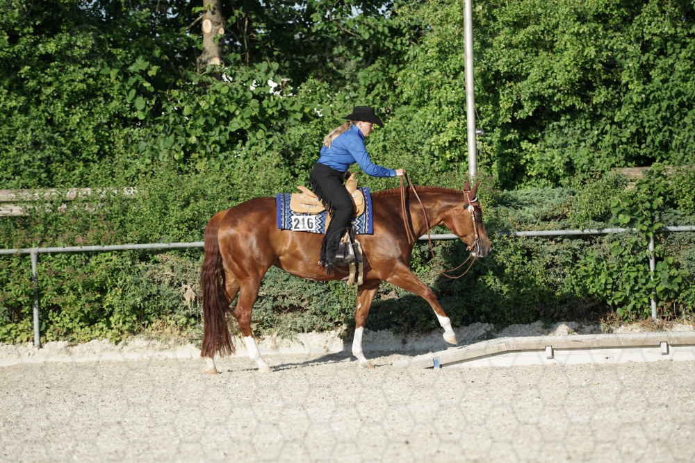 s_APF07150.jpg